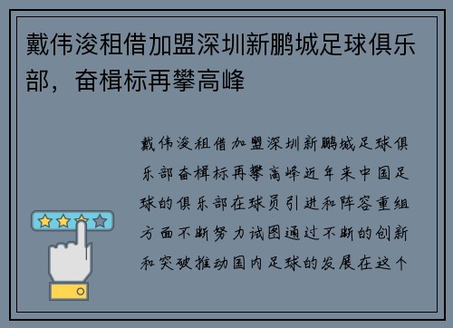 戴伟浚租借加盟深圳新鹏城足球俱乐部，奋楫标再攀高峰