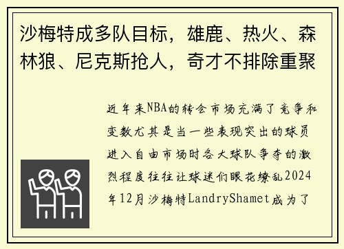 沙梅特成多队目标，雄鹿、热火、森林狼、尼克斯抢人，奇才不排除重聚